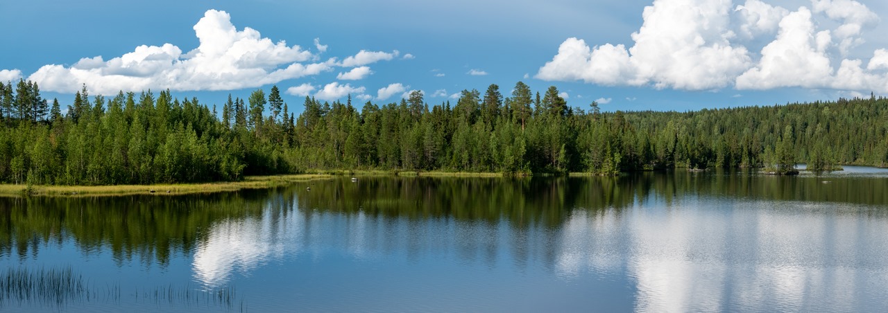 23 Kanotocht over de Harkan rivier en verschillende meren in Zweden (Bas Wetter)